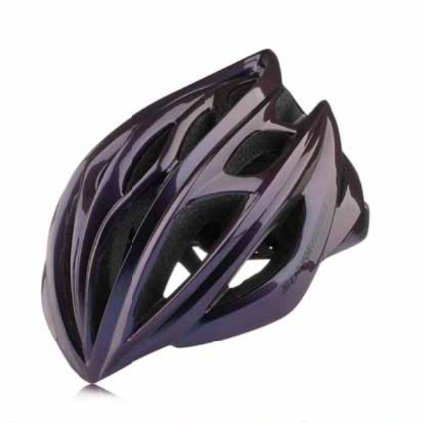 Bicycle Helmet WT-009