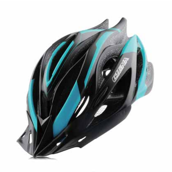 Bicycle Helmet WT-011