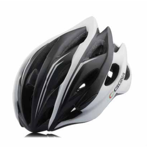 Bicycle Helmet WT-015