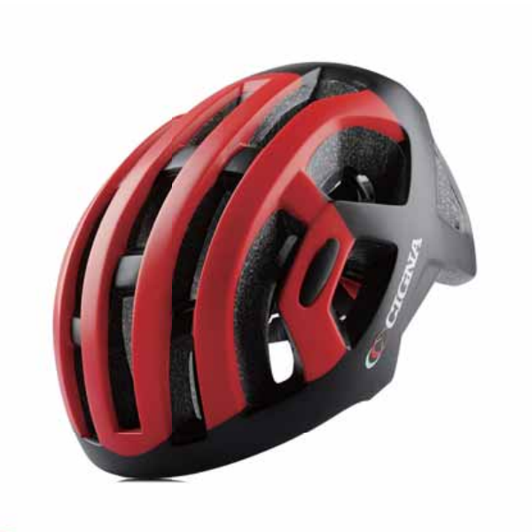 Bicycle Helmet WT-017