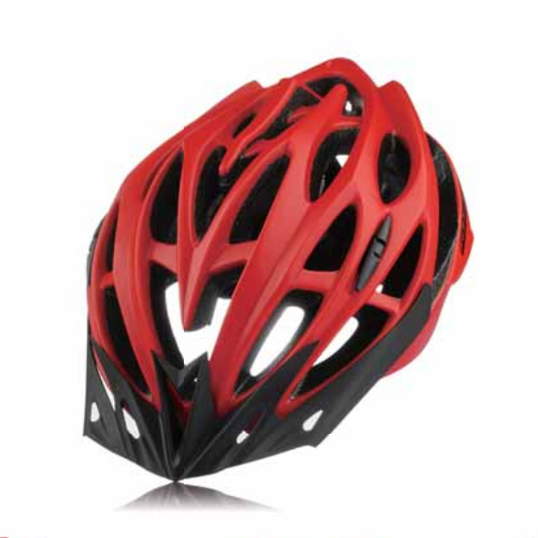 Bicycle Helmet WT-019
