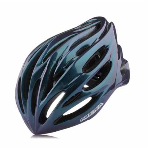 Bicycle Helmet WT-030