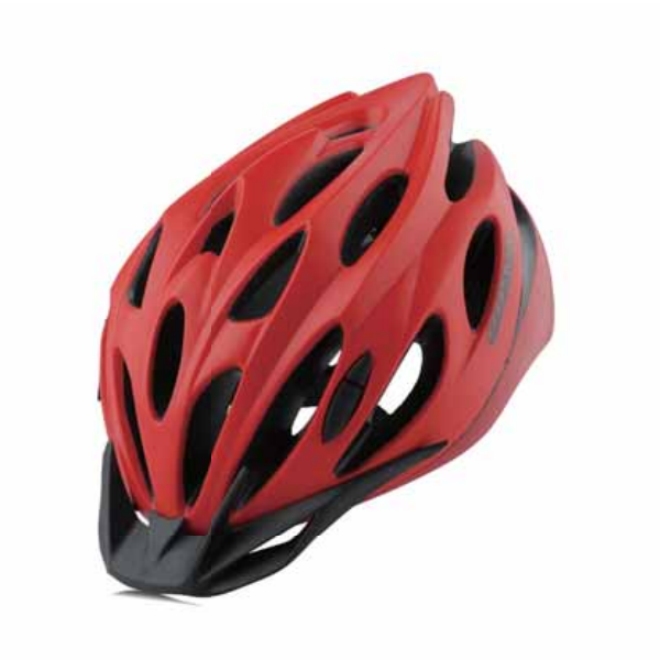 Bicycle Helmet WT-065