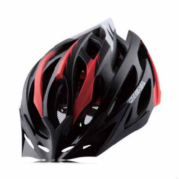 Bicycle Helmet WT-066